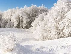 Image result for 3-Day Winter Vacation Ideas