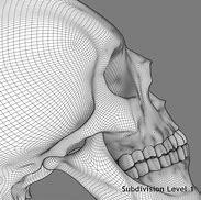 Image result for Human Skull 3D Model Wireframe Abstract