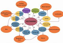 Image result for Histamine Reaction