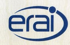 Image result for Erai Icon