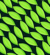 Image result for Green Leaves Pattern