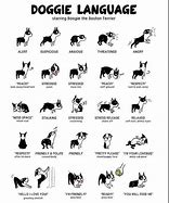 Image result for Dog Saying Please