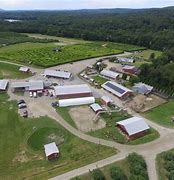 Image result for Barton Orchards Peach Picking