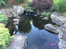 Image result for Aquascape Pond