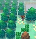 Image result for Pokemon Black 2 Nature Preserve