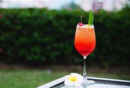 Image result for Mixology Cocktail