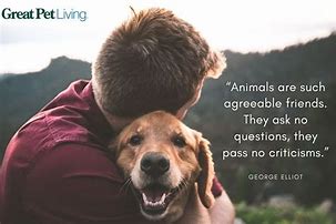 Image result for Dog and Human Quotes