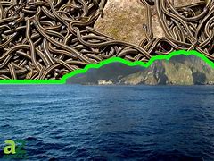 Image result for Snake Island Animals