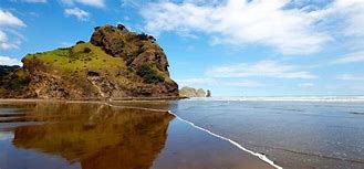 Image result for West Auckland Beaches