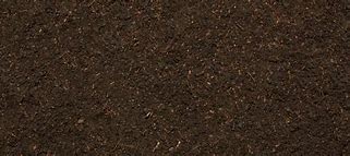 Image result for Dirt Path Background