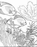 Image result for Coral Reef Draw