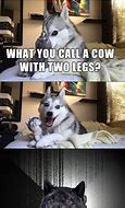 Image result for Pun Dog Jokes