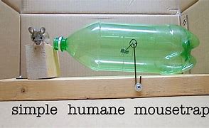 Image result for Oil Trap Mouse