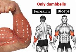 Image result for Bicep and Forearm