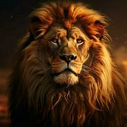 Image result for Backround Singam Lions