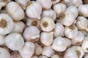 Image result for Garlic Gloves