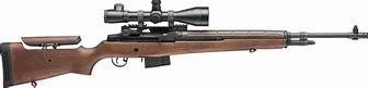 Image result for Springfield M21