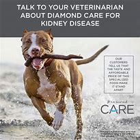 Image result for Dog Renal Treats