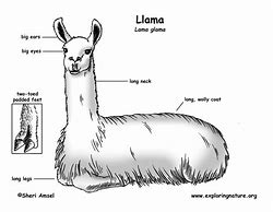 Image result for Llama3 Diagram