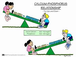 Image result for Acute Hypercalcaemia Bisphosphonate