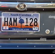 Image result for South Carolina License Plate with Wolf