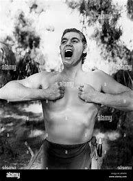 Image result for Johnny Weissmuller Tarzan Treehouse