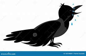 Image result for Sad Crow Poster