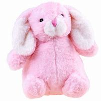 Image result for Rabbit with Toy