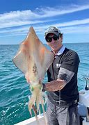 Image result for Fishing for Calamari