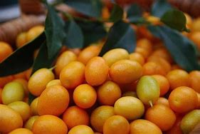 Image result for Kumquat Like Fruit