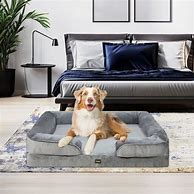 Image result for Dog Mat for Sofa