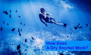 Image result for Dry Snorkel