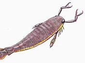 Image result for Eurypterid Ark Survival Evolved