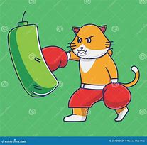 Image result for Cat Punching Bag