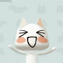 Image result for Toro Cat Figure