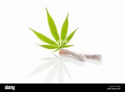 Image result for Marijuana Leaf Smoking a Joint