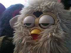 Image result for bean furby meme