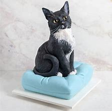 Image result for Laying Cat Cake Pan