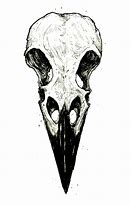 Image result for Raven Art Drawing