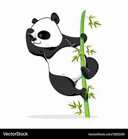 Image result for Panda Climbing