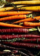 Image result for Playing Dice Carrot