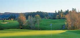 Image result for Chehalem Glenn Golf Course Logo