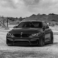 Image result for Drip Cat in BMW M4 PFP