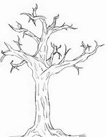 Image result for Tree Sketch Easy