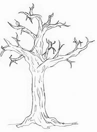 Image result for Tree Pencil Clear Sketch