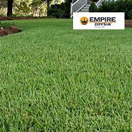 Image result for Zoysia Grass Lawn