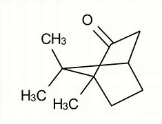 Image result for Camphor Chemical Structure