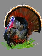 Image result for Animated Turkey Bird Printable