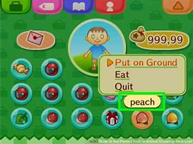 Image result for Animal Crossing New Leaf Fruit