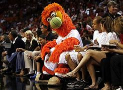 Image result for Miami Heat Mascot